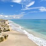 Beaches