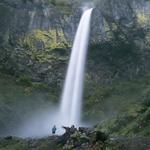 Hikes in The Gorge Worth Checking Out!