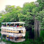 J. Charles Swaby's Black River Safari