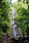 Hike to Manoa Falls