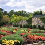 North Carolina Arboretum