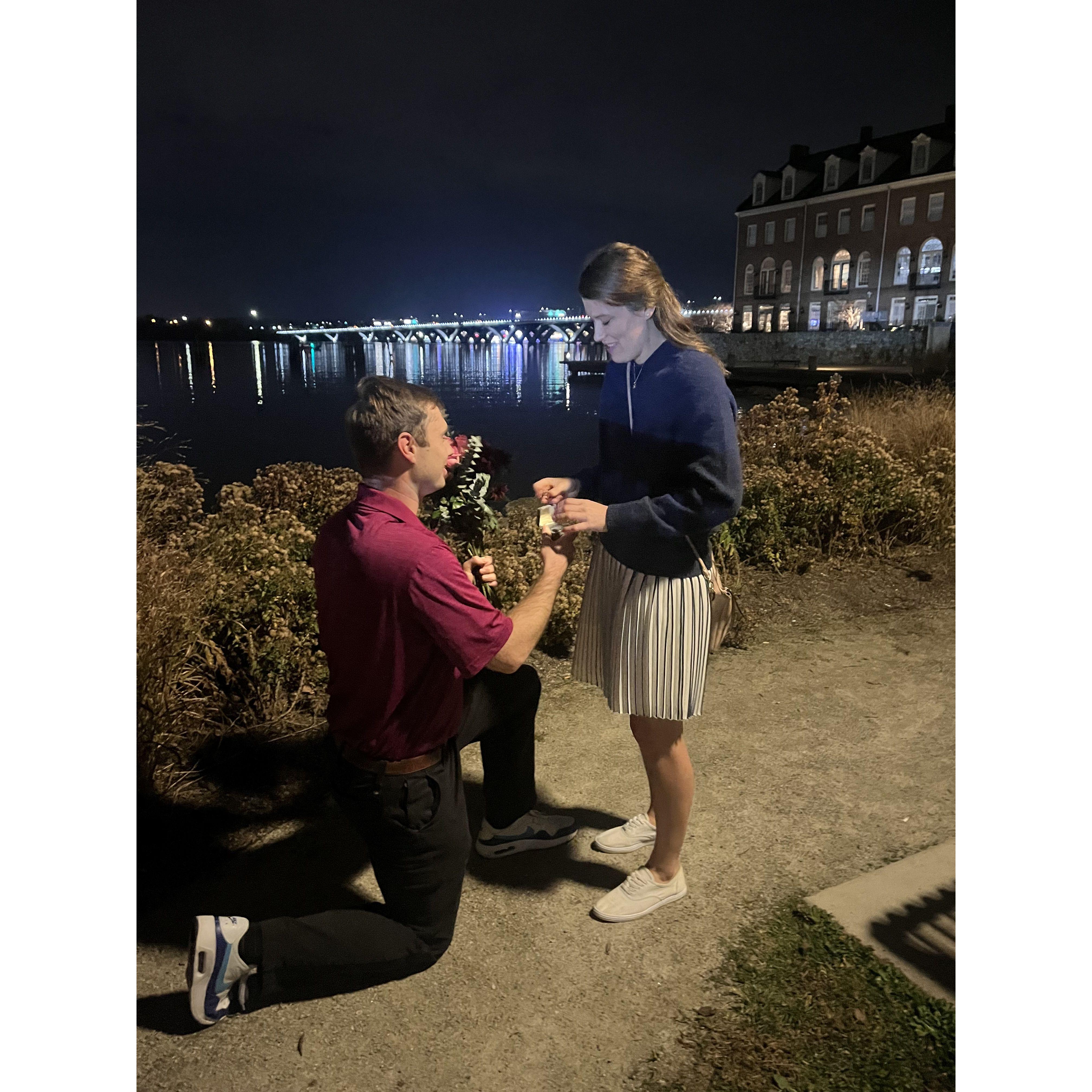 The proposal: November 17, 2023