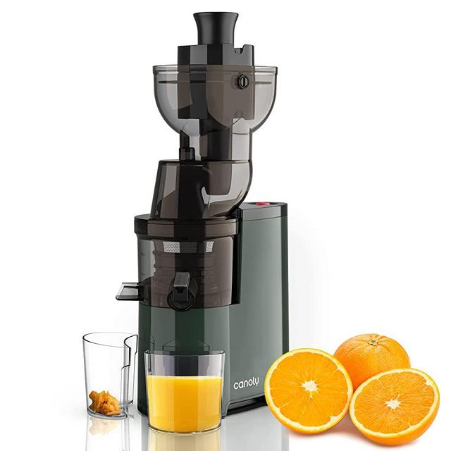 Masticating Juicer, 250W Professional Slow Juicer with 3.5-inch (88mm) Large Feed Chute for Vegetable and Fruit, Cold Press Juicer Machines with High Juice Yield