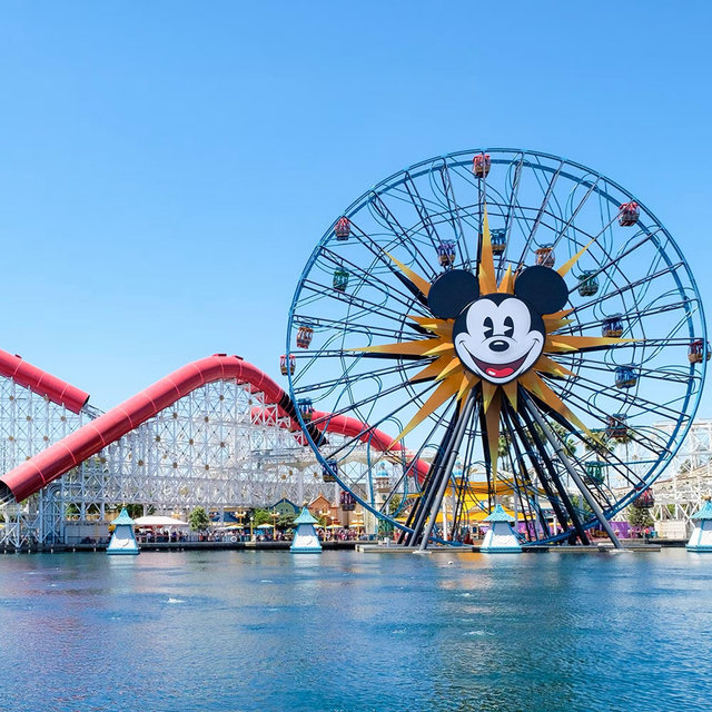 Disneyland fast pass