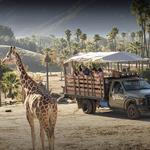 San Diego Zoo Safari Park