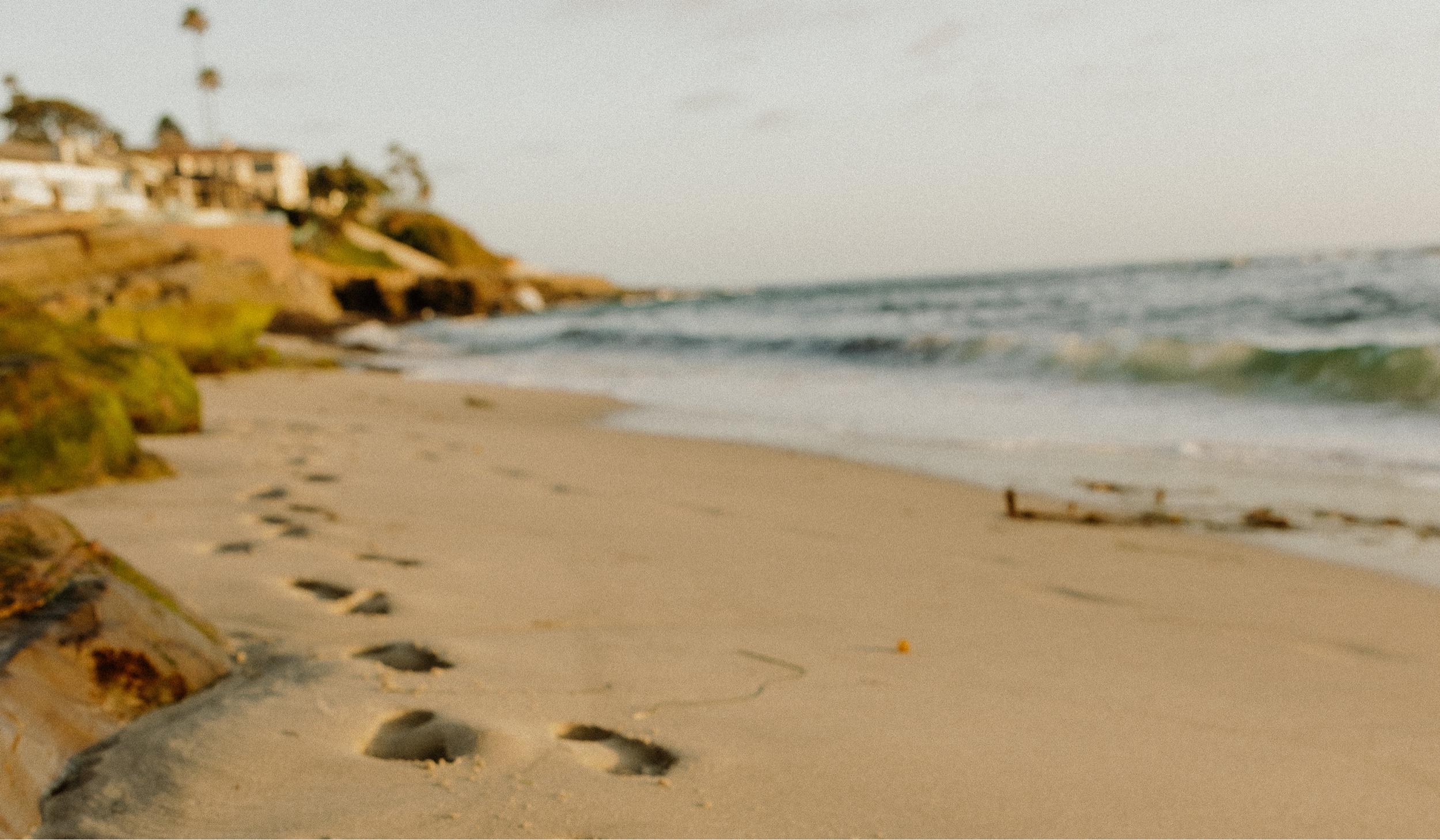 The Wedding Website of Lizabeth Rachel Ramirez and Akris Marin Lin