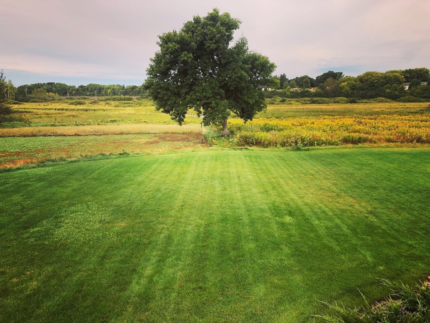 The Wedding Website of Lela Wright and Erik Landsverk