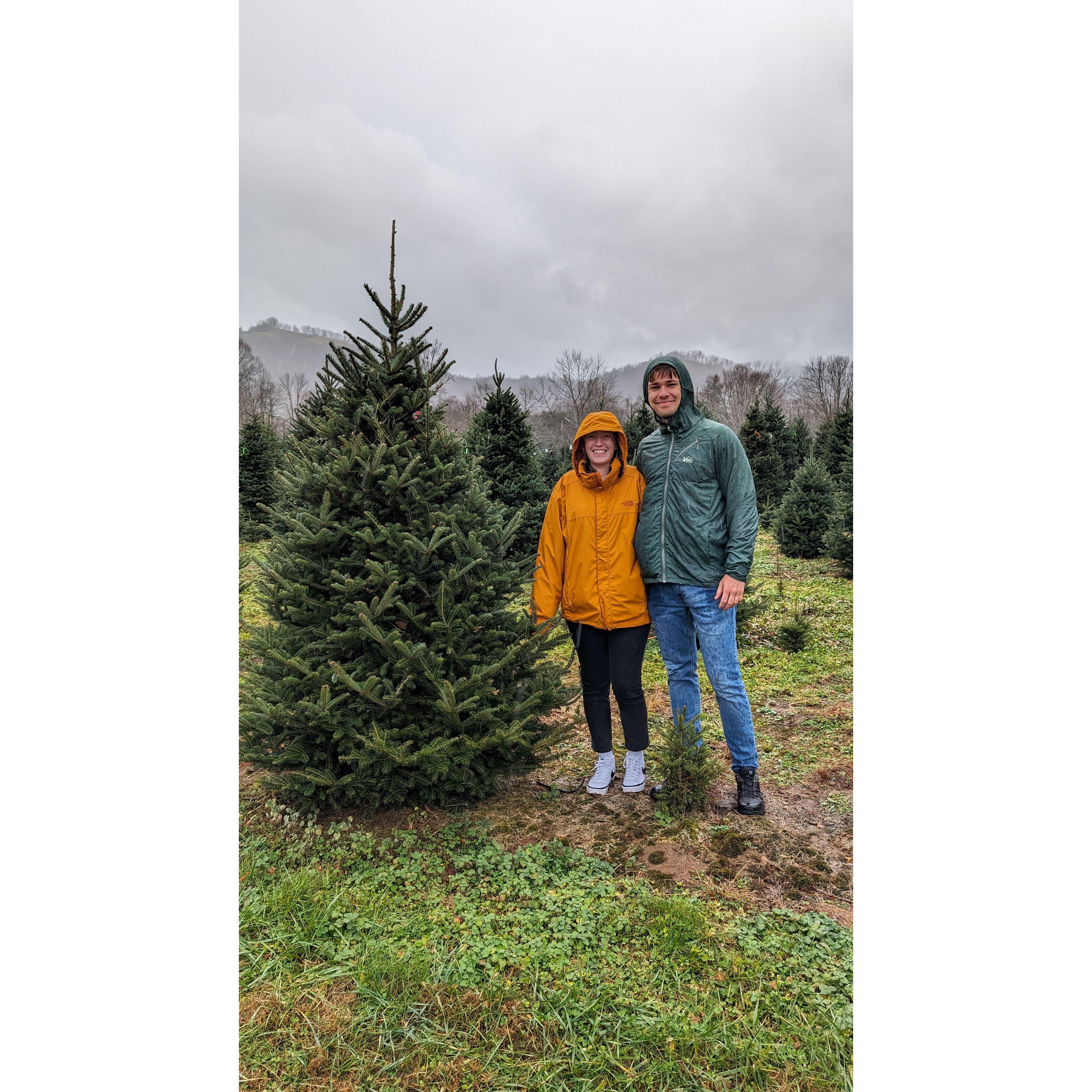 Picking Jose's first "real" Christmas tree from the mountains of North Carolina.