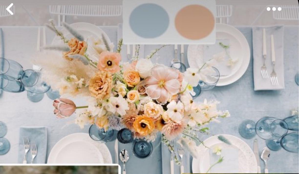 The Wedding Website of Amy Meza and Colton Armstrong