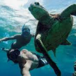Snorkeling