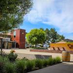 Callaway Vineyard & Winery