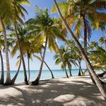 Saona Island Day Trip From Punta Cana with Lunch and Open Bar