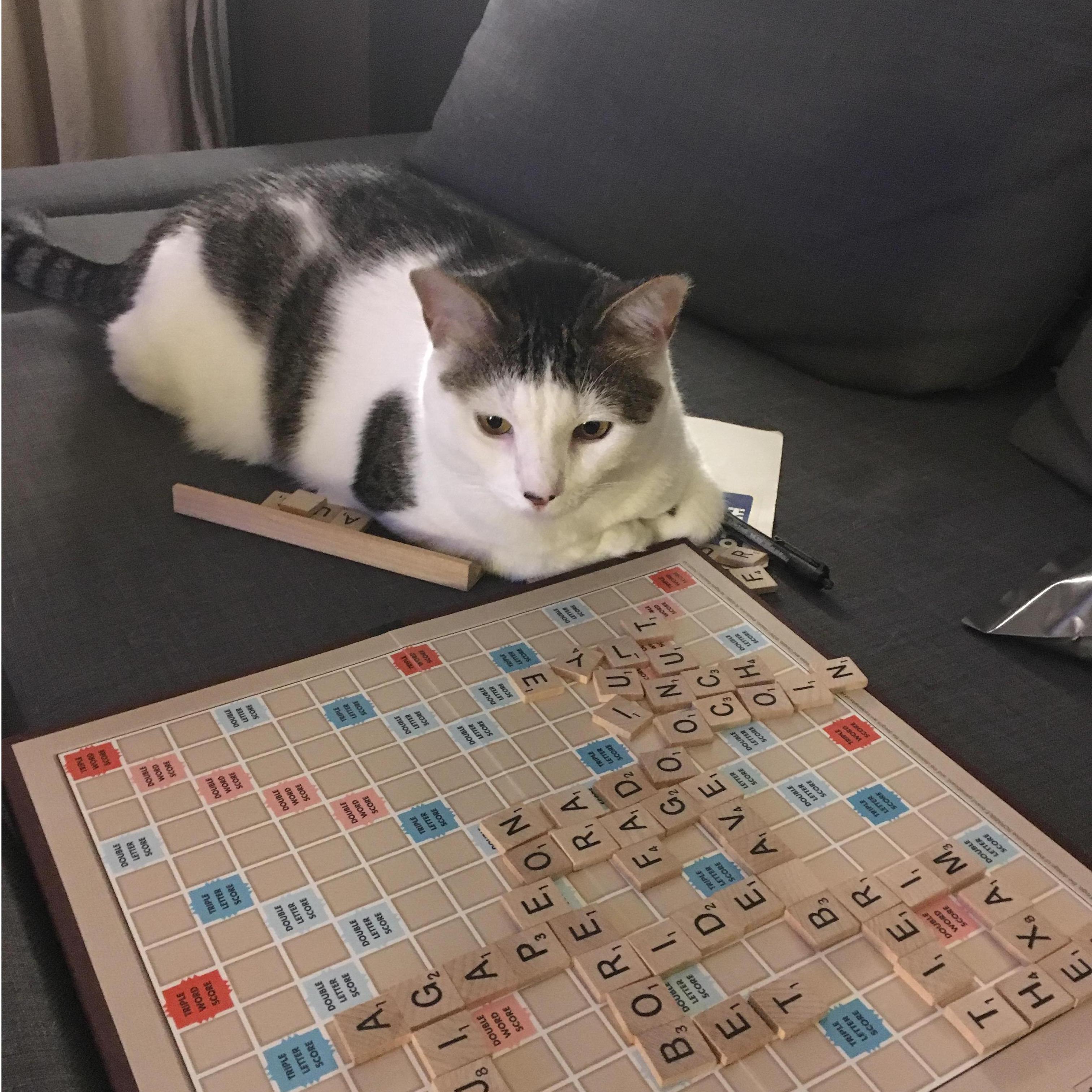 She's surprisingly bad at Scrabble