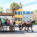 Horse and Carriage Tour