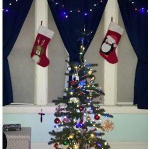 So much love for our Charlie Brown Christmas tree.