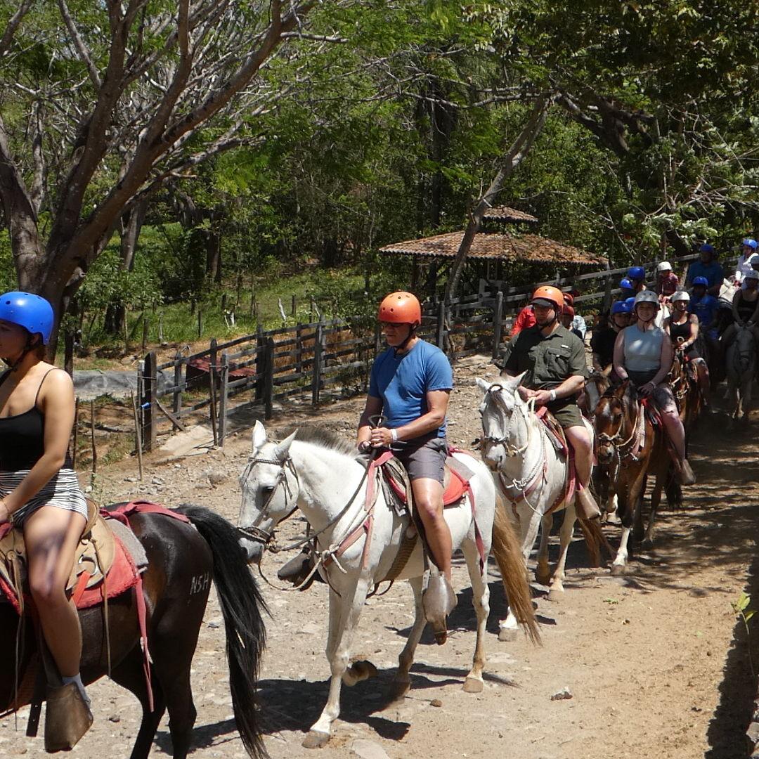 Horseback riding (Fun fact: a horse bit Shannon's leg on this adventure)