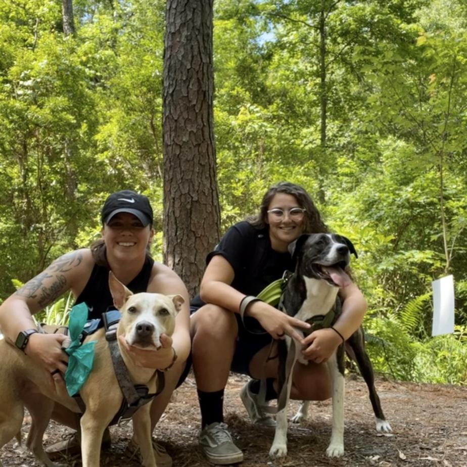 Family hikes