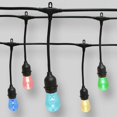 24ct Color Changing LED Shatterproof String Lights with Remote Clear - Smith & Hawken™