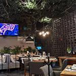 Sonora Grill Mérida