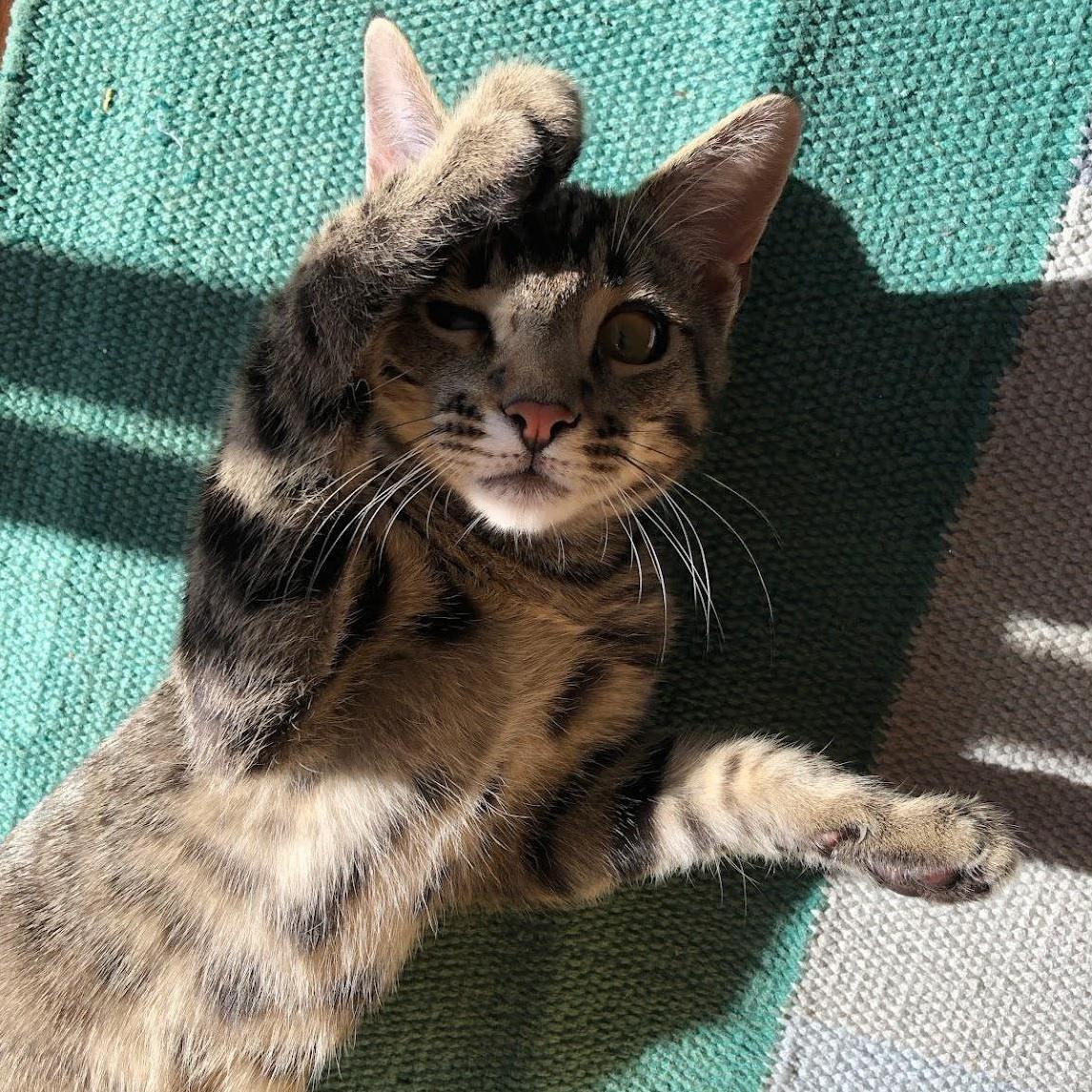 Barry 🌞
