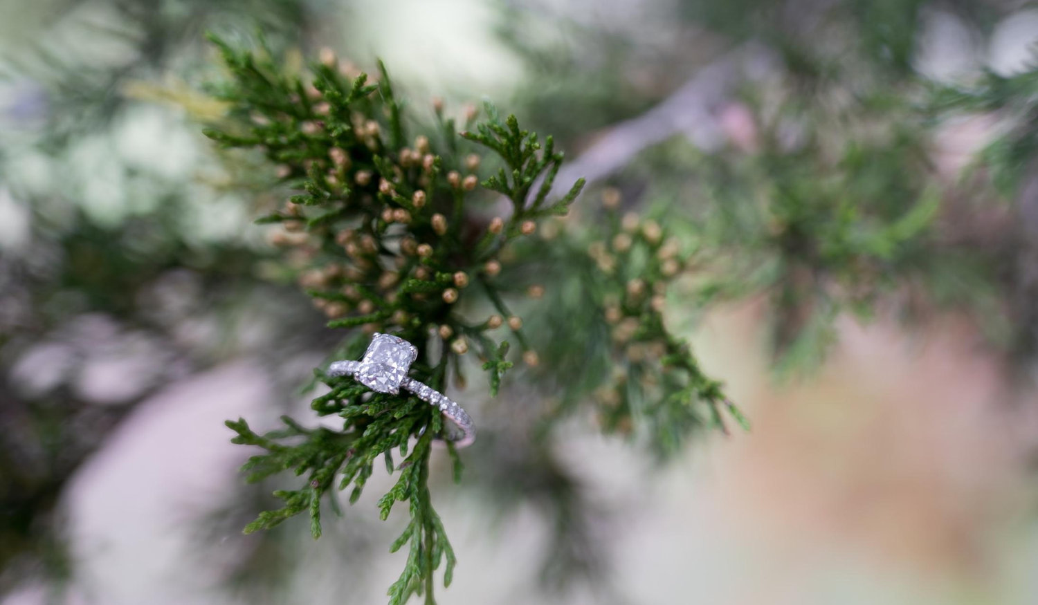 The Wedding Website of Hailey ‎ and Benjamin ‎