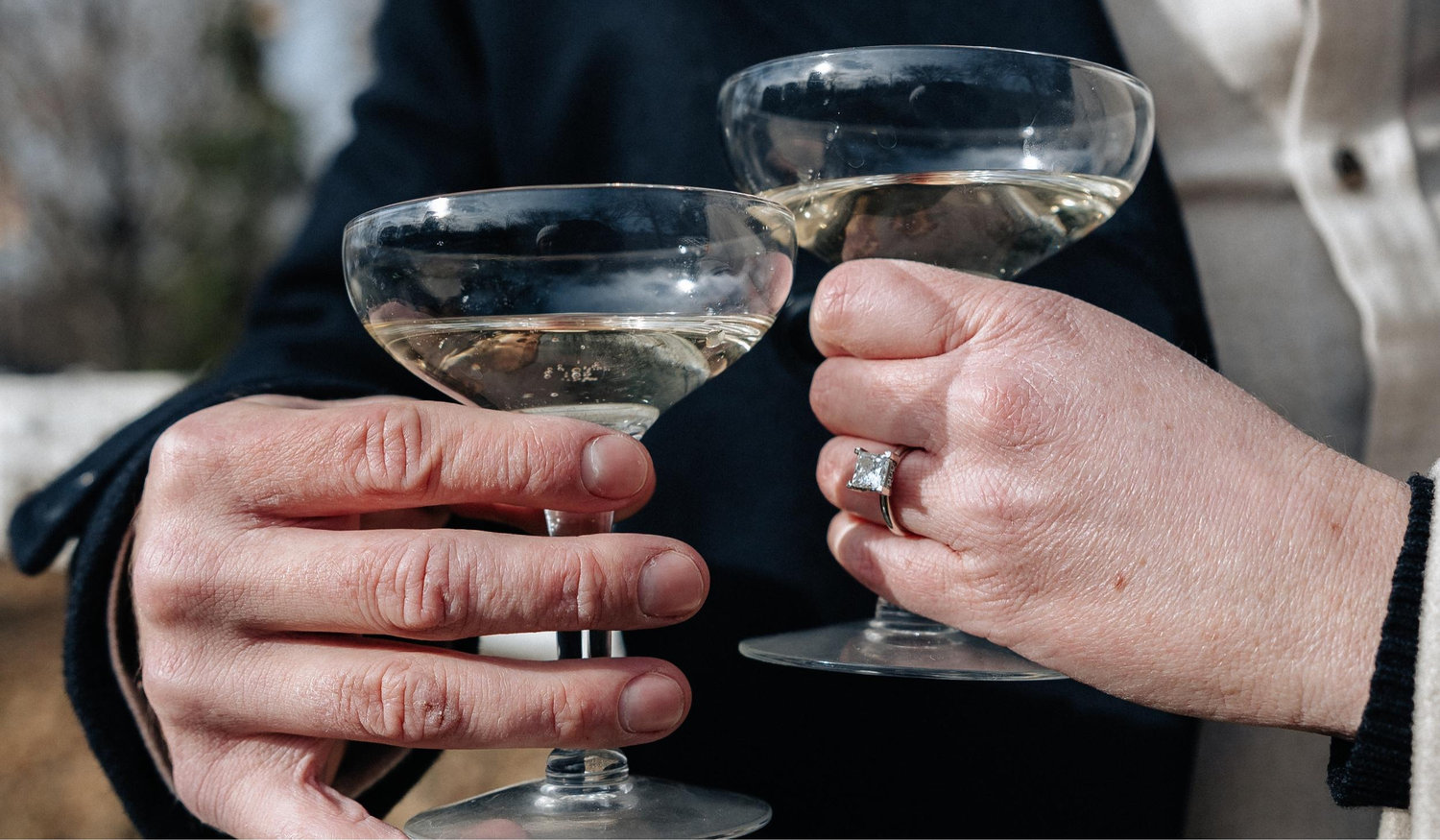 The Wedding Website of Corinne Damon and Scott Annichiarico
