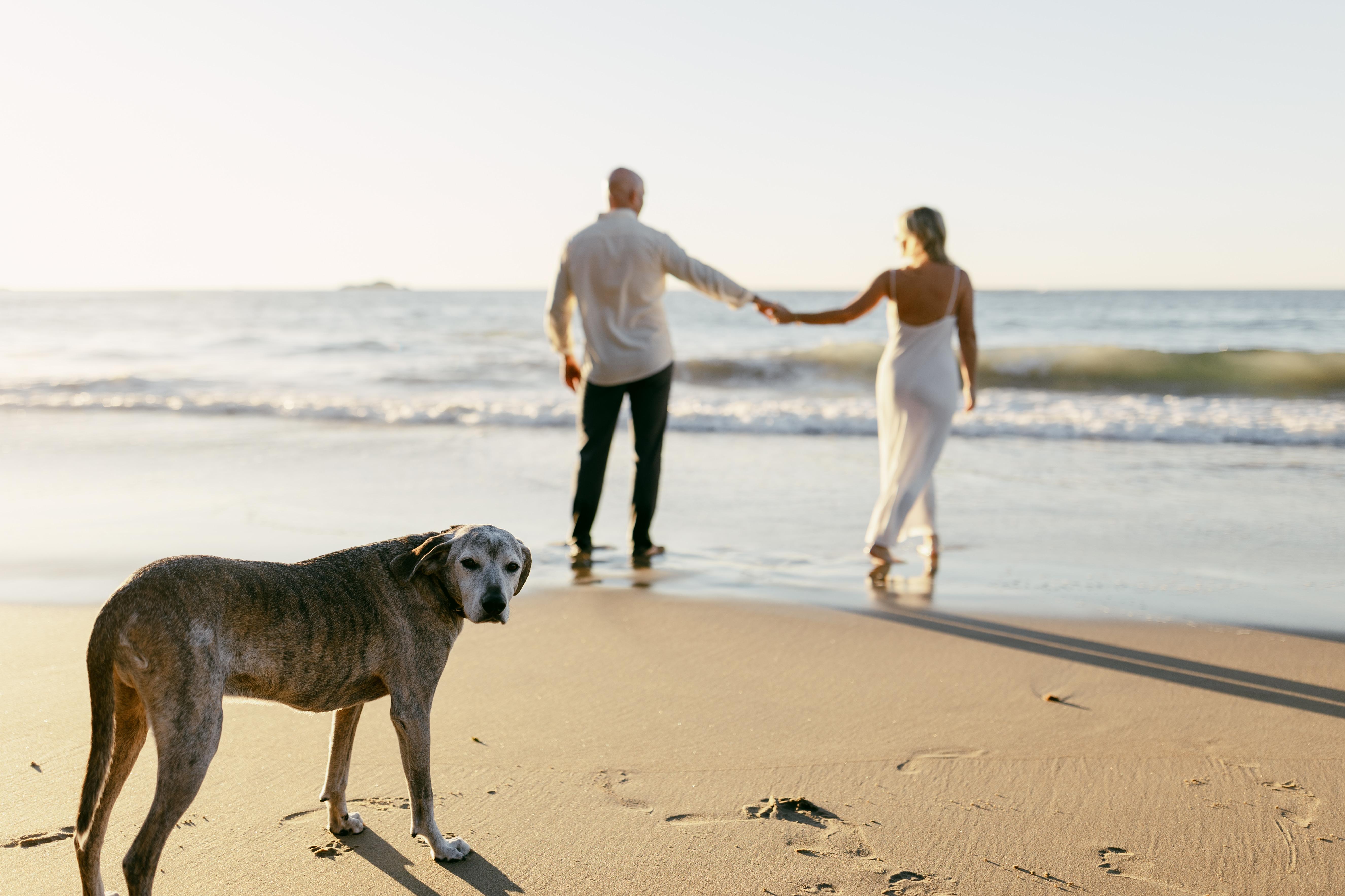 The Wedding Website of Courtney Boli and Steve Conroy