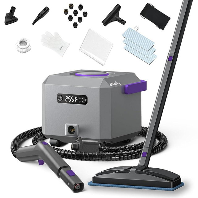 awasky Canister Steam Cleaner: 50-Sec Heat-Up, 0.6 Gal Tank Refill Anytime (Non-Pressurized), 1650W, 60 PSI, 21-Pcs Kit, Dry/Wet Modes, Detachable Hose for Tile Grout Furniture Floor Car Cleaning Gray