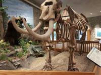 Mastodon State Historic Site