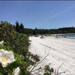 Pemaquid Beach