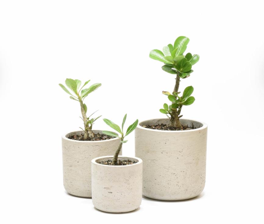 Pots and Planters