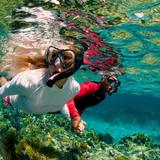 Sunken Sculptures Snorkel Adventure