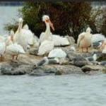 Minidoka National Wildlife Refuge