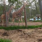 Bayou Wildlife Zoo