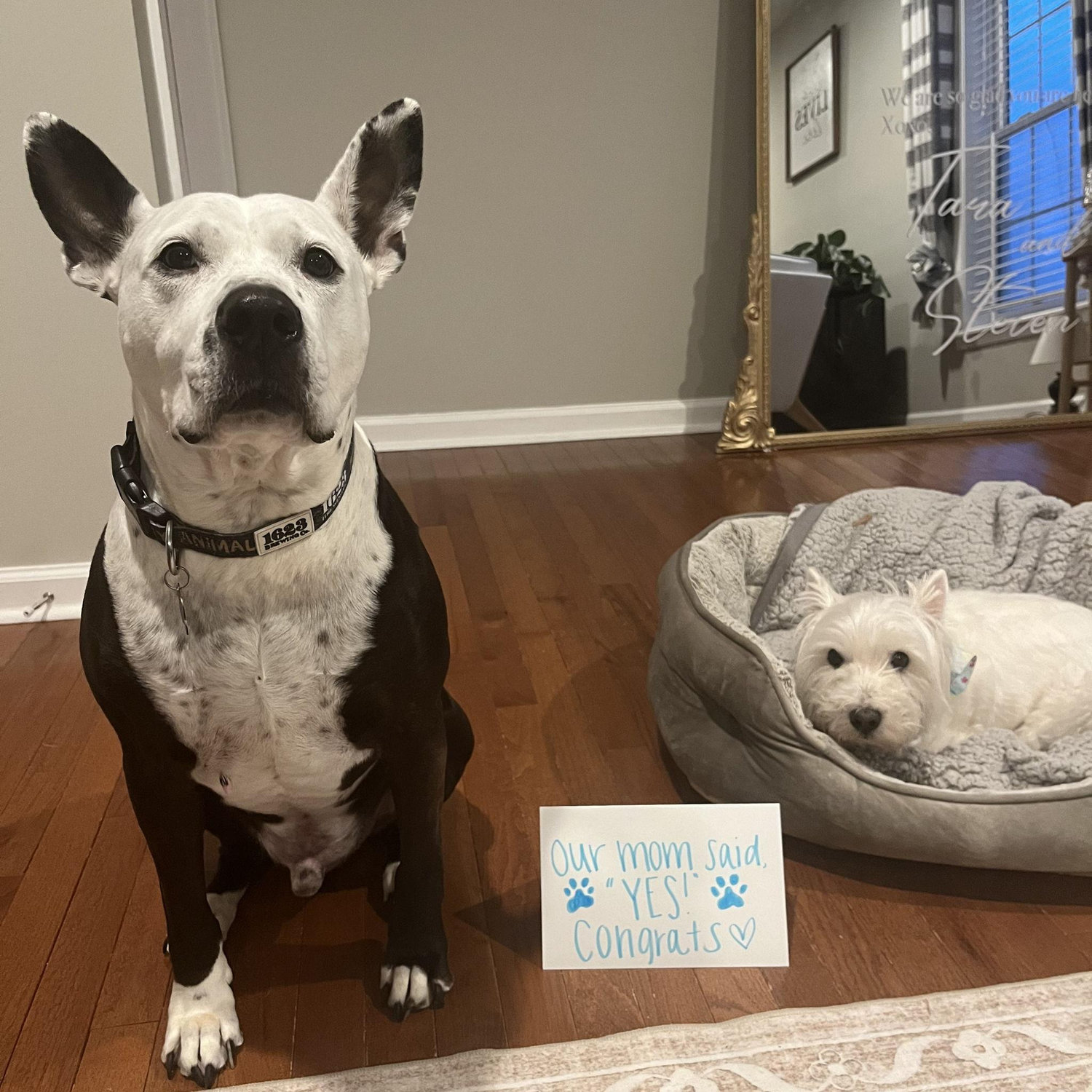Our bestest boys :)