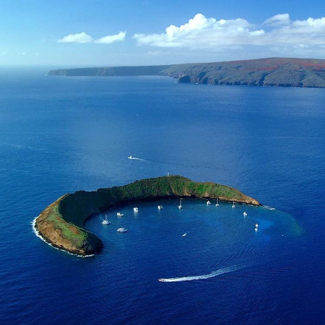 Snorkeling in Molokini Crater on our Honeymoon