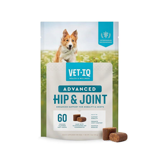 VetIQ Advanced Hip & Joint Chews For Dogs, 60 Count, Chicken Flavored Supplements Made with Glucosamine, Omega 3’s, Chondroitin, MSM & Green Lipped Mussel, Increases Mobility & Maintains Muscles