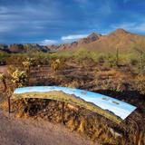 McDowell Sonoran Preserve