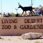 The Living Desert Zoo and Gardens