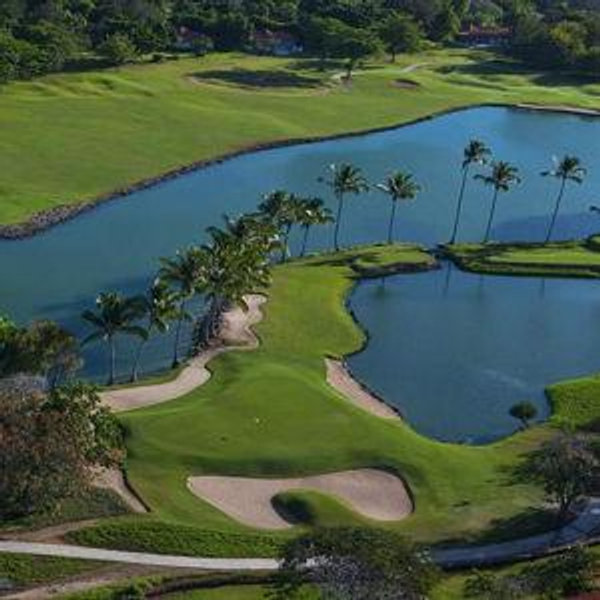 Golf Round on the Honeymoon