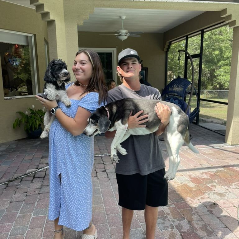 puppies!