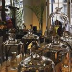 Madame Aucoin Perfume