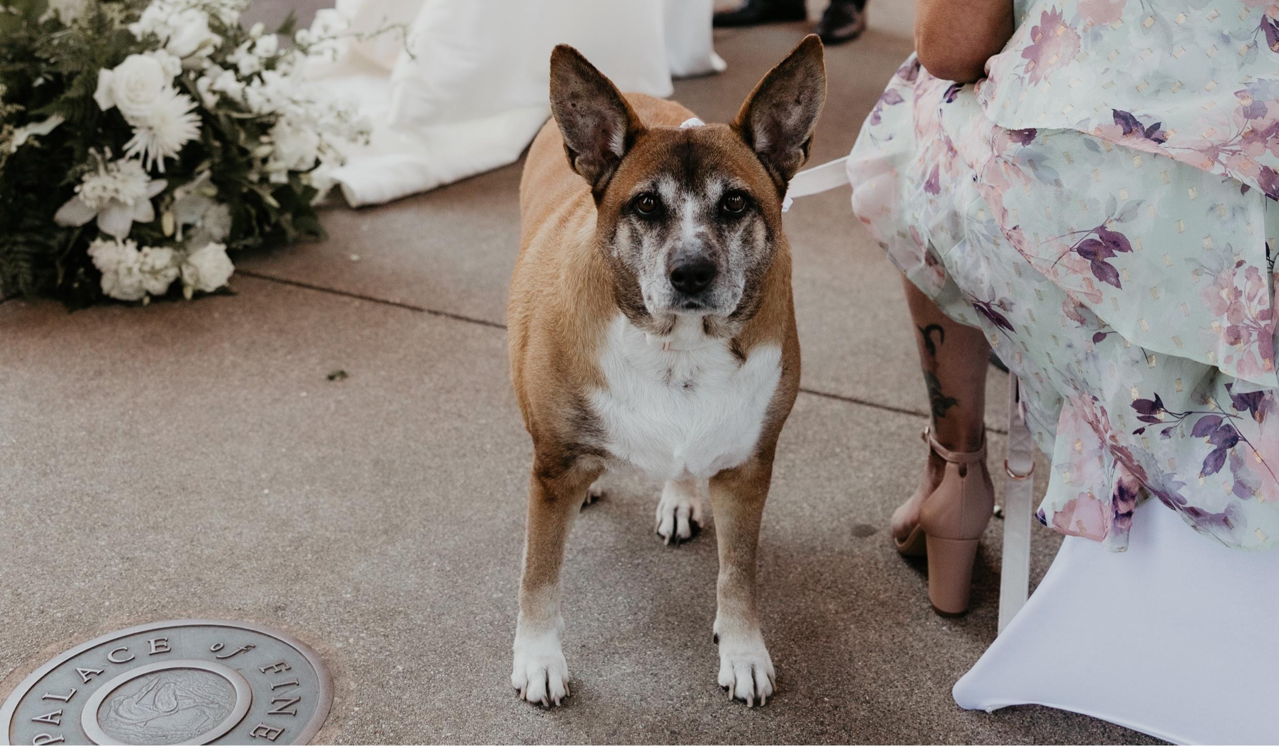 The Wedding Website of Jenna Wandrey and Bryan Cholico