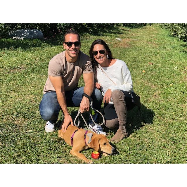 Apple picking with the puppy