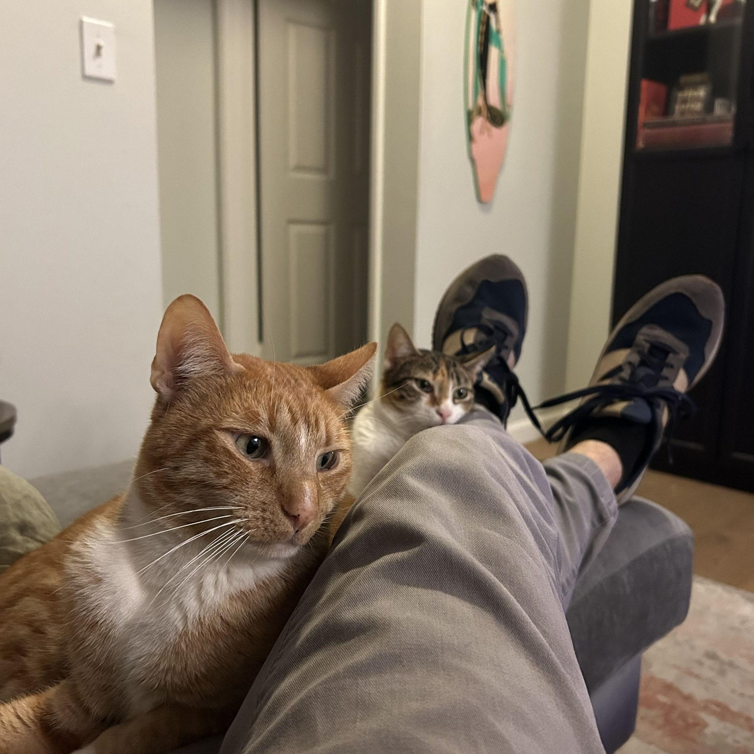 Ennui