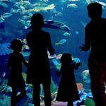 The Dallas World Aquarium