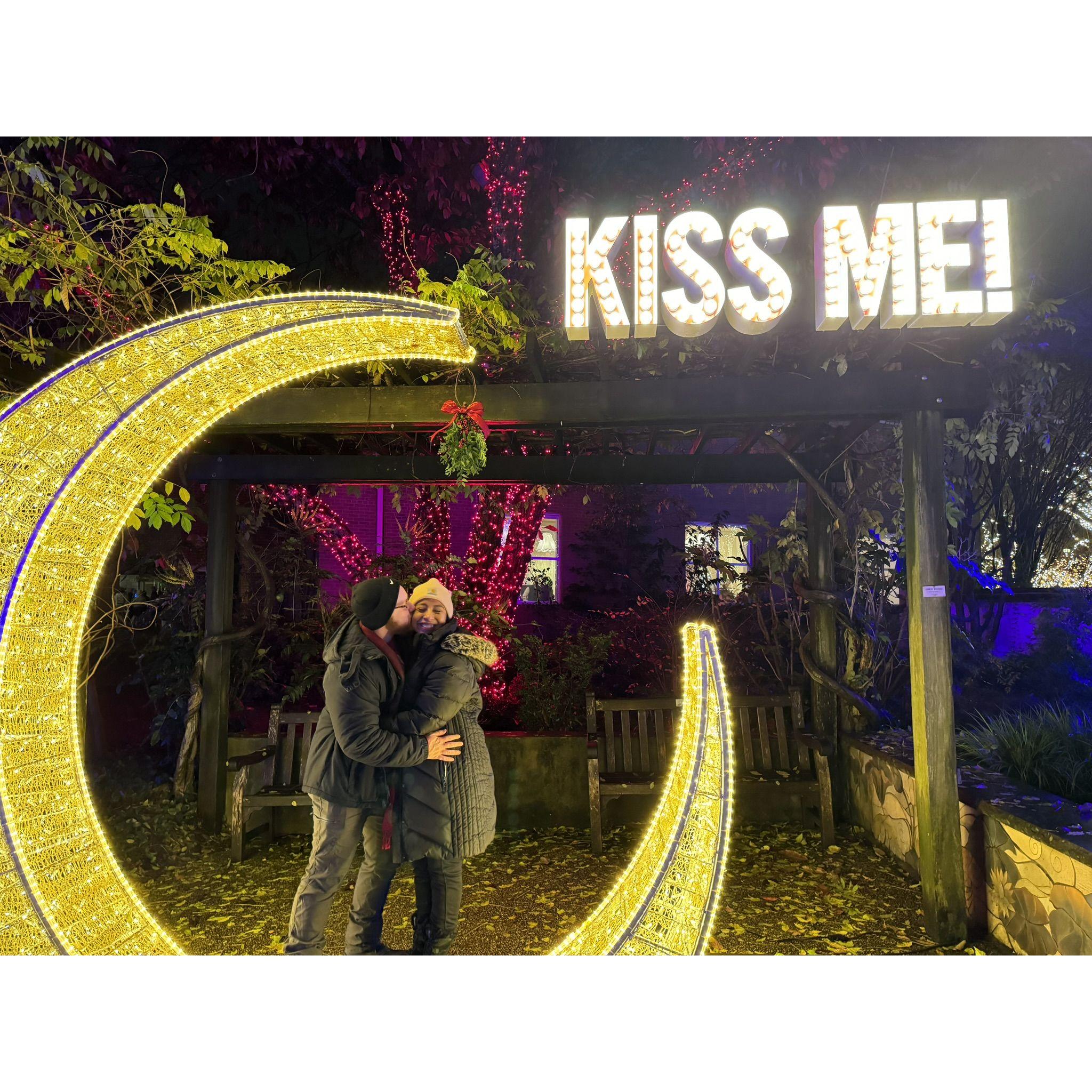 Seeing the Magical Nights of Lights at Botanical Gardens in Atlanta