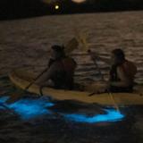 Puerto Rico Bio Bay Tours Llc.