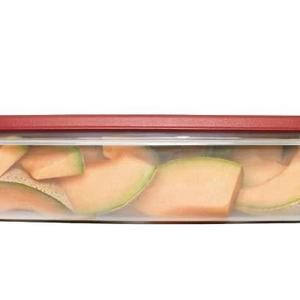 Rubbermaid Plastic Easy Find Lid Food Storage Container