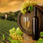Napa Valley Wineries